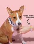 Clove™ BBF Dog Collar + FREE Matching Bracelet