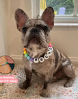 Clove™ BBF Dog Collar + FREE Matching Bracelet