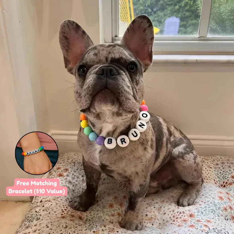 Clove™ BBF Dog Collar + FREE Matching Bracelet